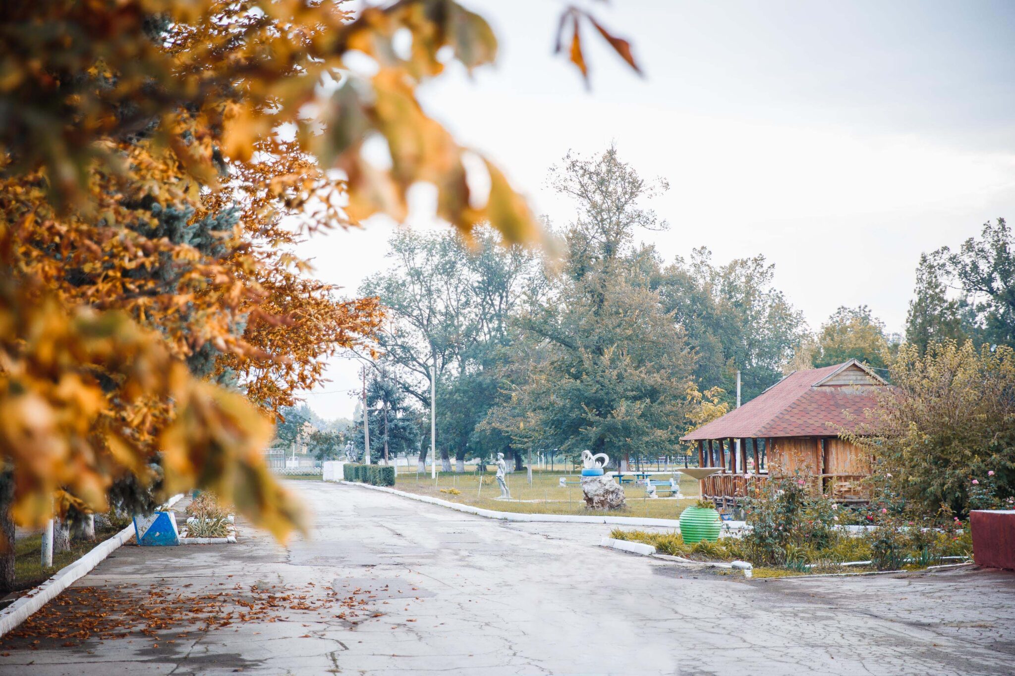 Зорис. Меренештский лес Бендеры. Меренештский лес Бендеры фото.